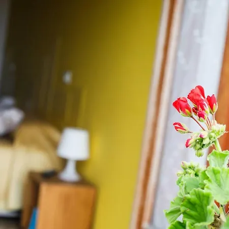 住宿加早餐酒店 St. Michele