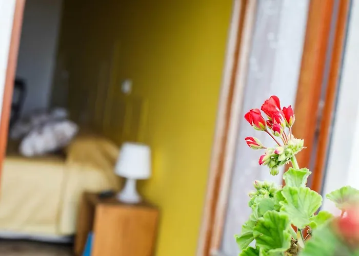 住宿加早餐酒店 St. Michele