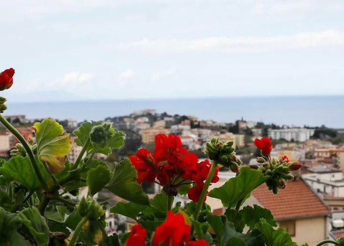 St. Michele 住宿加早餐酒店 帕蒂